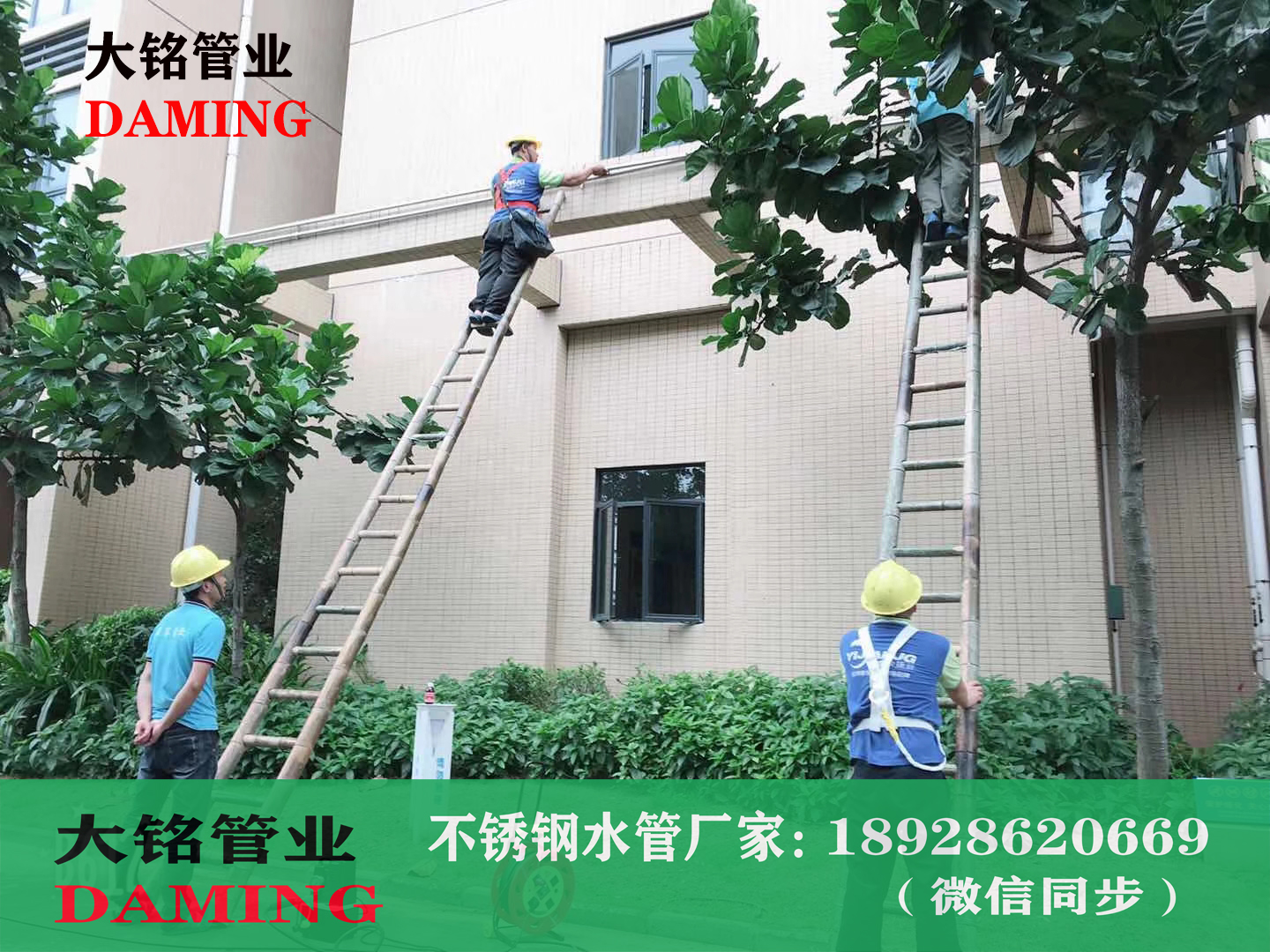 哔咔漫画网址內牙直通哔咔漫画污版APP